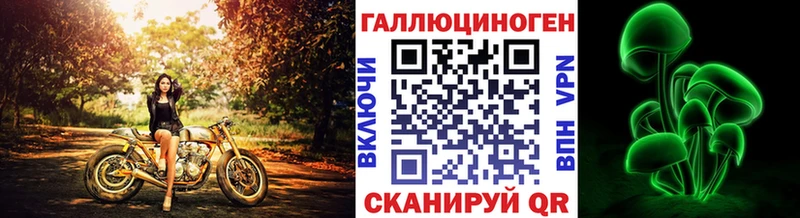 Псилоцибиновые грибы прущие грибы  omg tor  Чаплыгин 